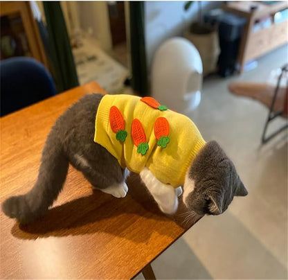 Dog's Soft and Stretchy Sweater with Carrot Velvet Pattern