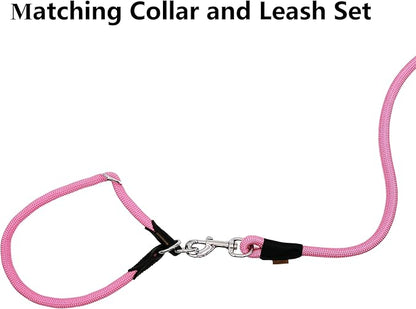 Dog Leash ((1/2") - 6FT, Pink)