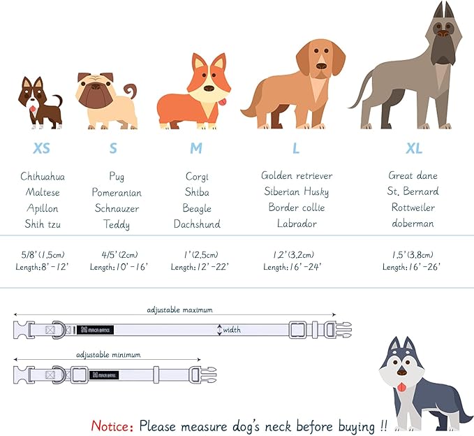 Maca Bates Summer Dog Collar with Fruit Icecream