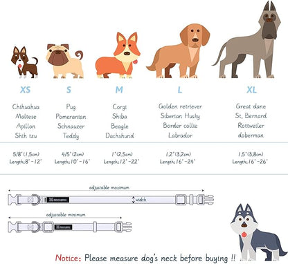 Maca Bates Summer Dog Collar with Fruit Icecream