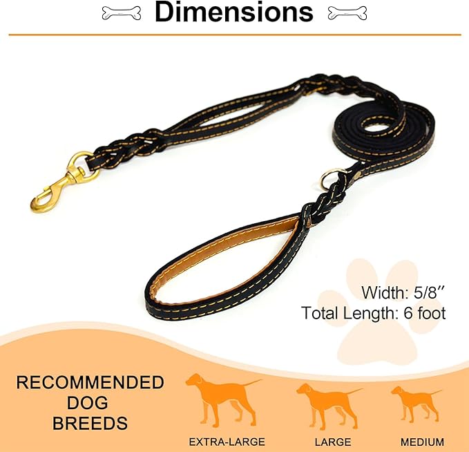 Guiding Star Double Handle Leather Dog Leash 6ft 6ft x 5/8 inch)
