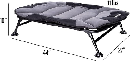 Momarsh Elevated Dog Cot with Washable Soft Pad & Folding Frame for Travel & Home Use