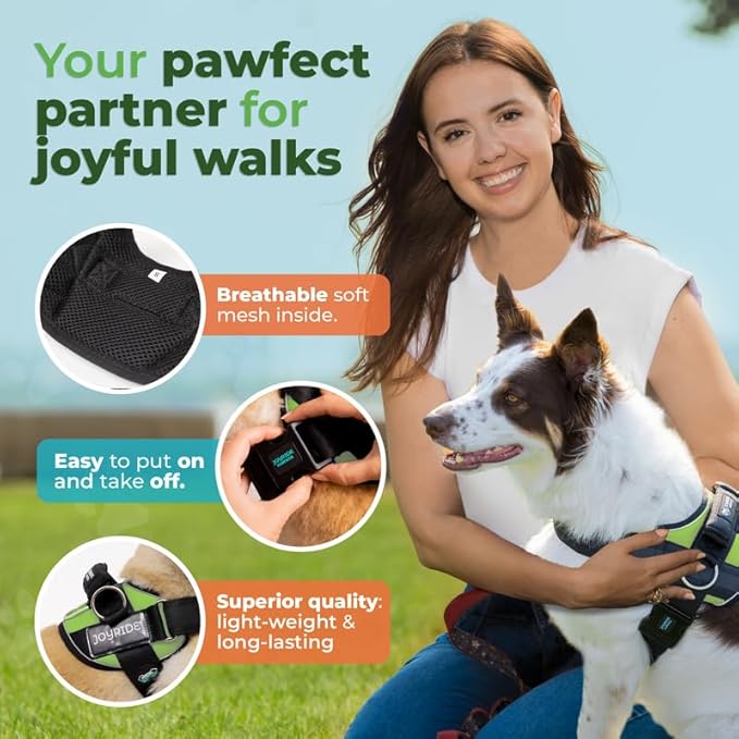 Joyride Harness 2.0 - The Original Side Ring No Pull Dog Harness - No Choke, Escape Proof, Reflective, 3 Leash Clips, Quick Fit Pet Vest - Easy Walks & Training - for Small, Medium & Large Dogs