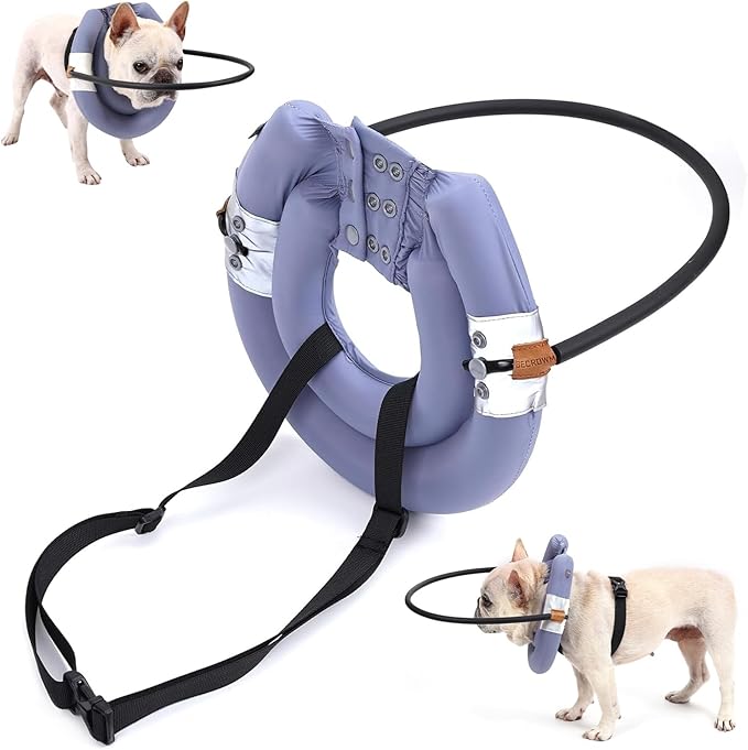 Blind Dog Halo, Blind Dog Harness, Lightweight Halo for Dogs&Cats, Adjustable Guiding Device Protects Pets from Collision, Builds Confidence, Collar, Purple (Small)