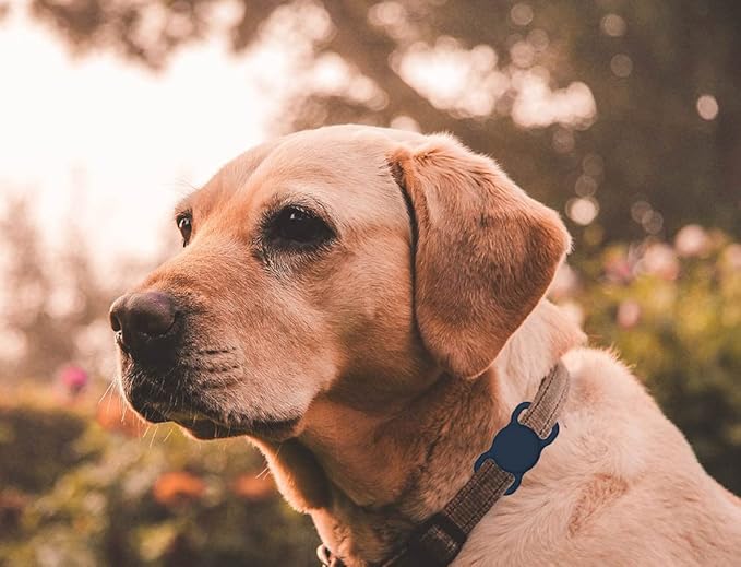 Air Tags-2 Pack Airtag Dog Collar Holder SWINCHO 1-3cm Width