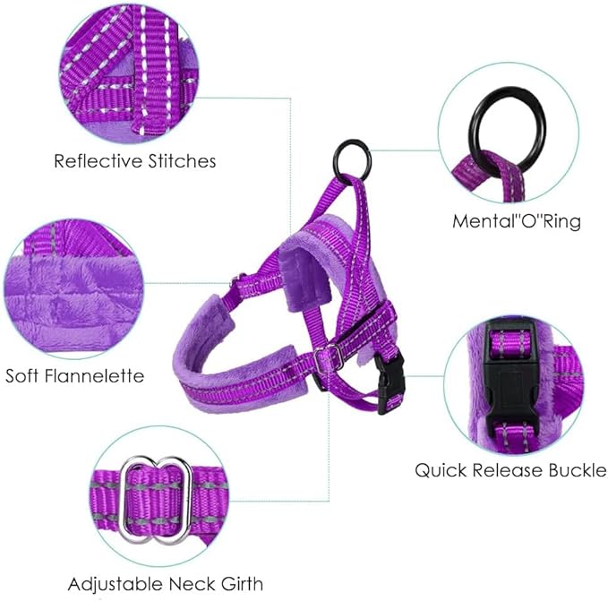 Lukovee Dog Harness and Leash Set, Soft Padded Small Dog Harness, Neck & Chest Adjustable Reflective Vest Puppy Harness with 4ft Lightweight Anti-Twist Dog Leash for Small Dogs (XX-Small, Purple)