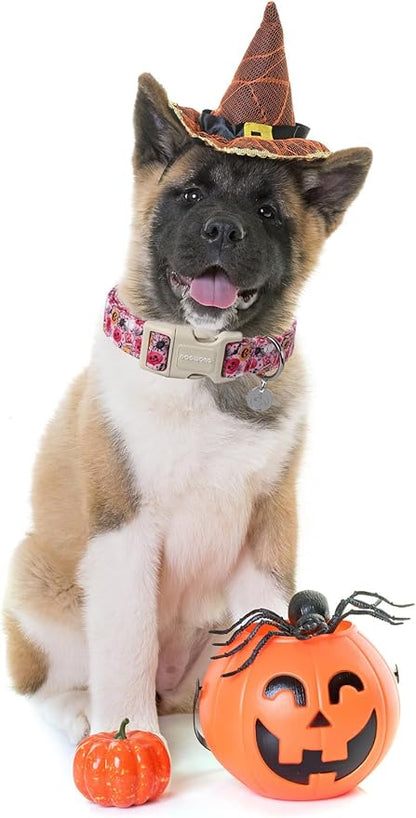 DOGWONG Pumpkin Dog Collar