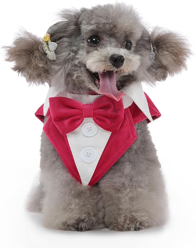 Puppy Velvet Tuxedo with Detachable Bowtie Prom Wedding Formal Wear Prince Costume for Small Dog (Large, Rose)