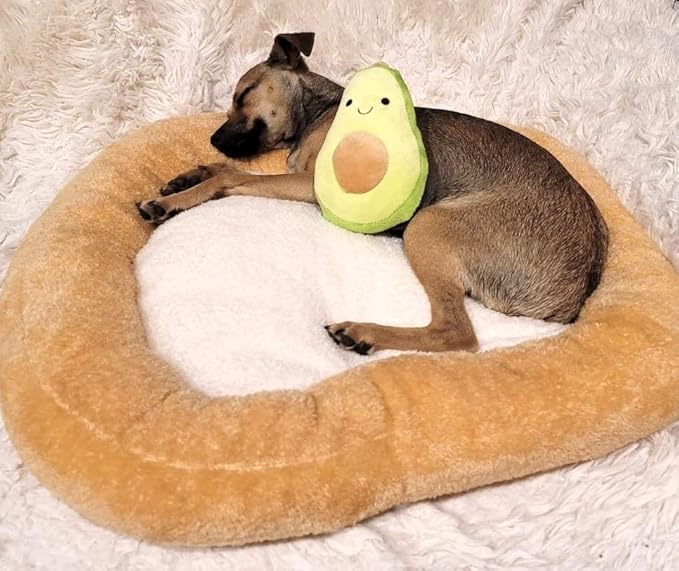 TONBO Soft Plush Small Cute and Cozy Food Dog Cat Bed, Washer and Dryer Friendly (Avocado Toast)