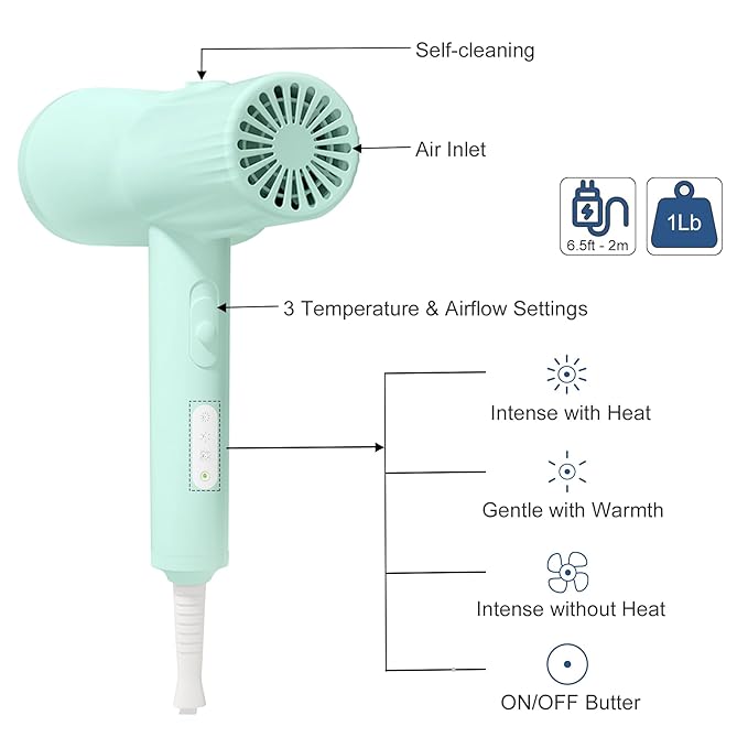 Low Noise Pet Blow Dryer with Slicker Brush - Adjustable Temperature, Overheating Protection for Grooming (Light Blue)