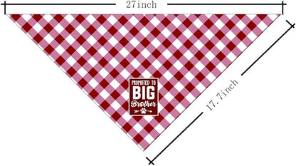 Dog Bandana (B62)