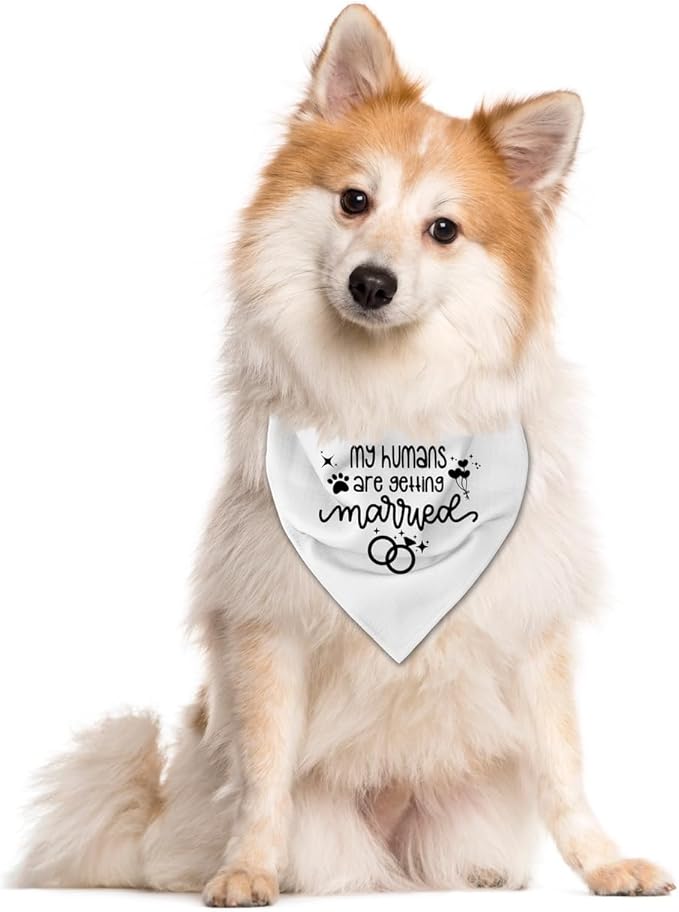My Humans are Getting Married Dog Bandana (C53)