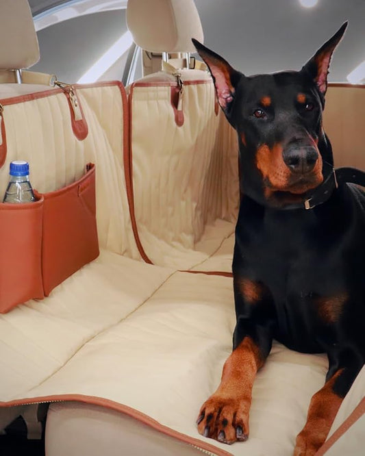 Backseat Extender for Dogs