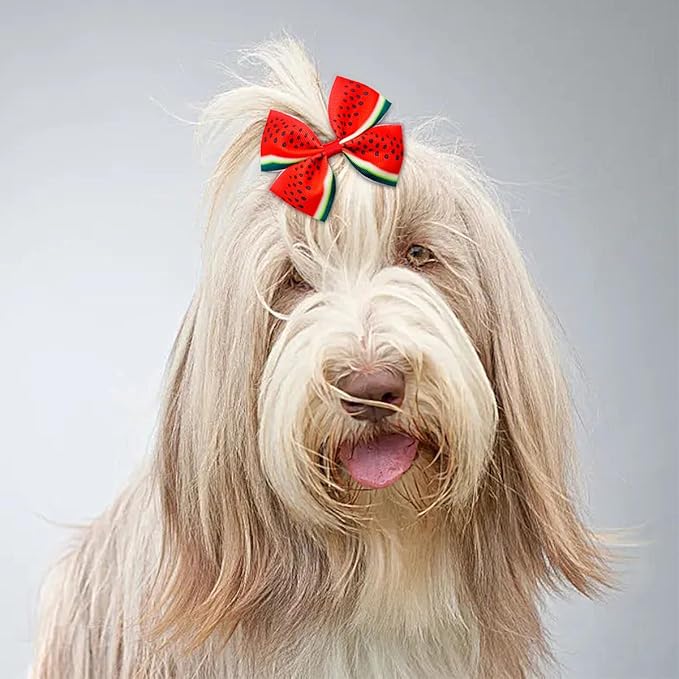 24Pcs/12 Pairs 4" Big Dog Hair Bows Fruit
