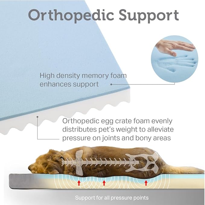 Friends Forever Orthopedic Dog Bed 44x32x3.5