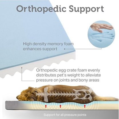 Friends Forever Orthopedic Dog Bed 36x27x3