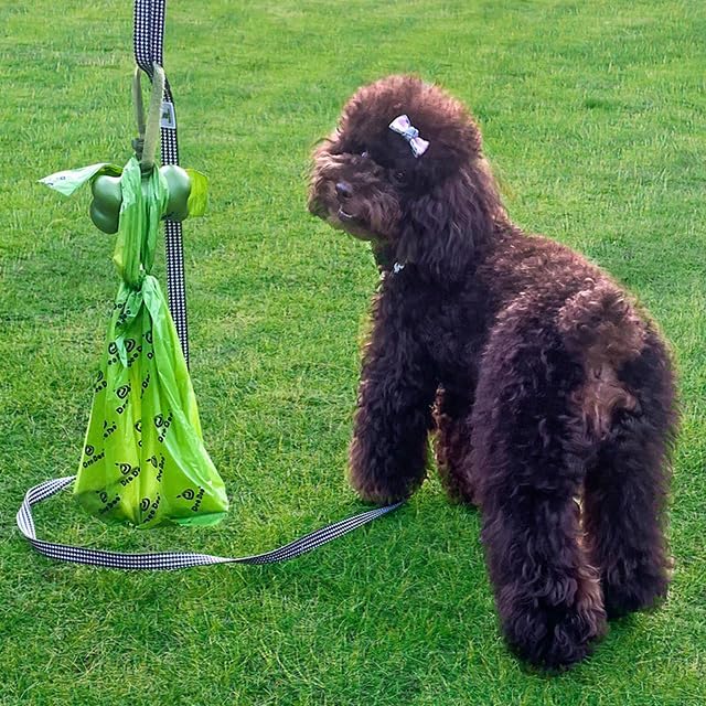 Dog Poop Bags Rolls with Handles 40 Rolls 480 Counts