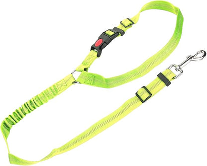 Dog Seat Belt for Cars