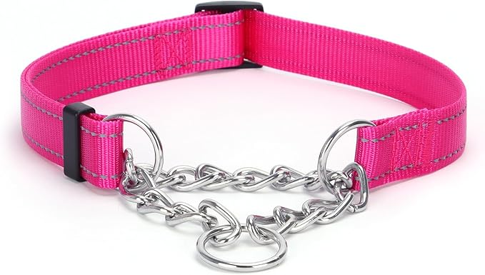 Martingale Dog Collar with Stainless Steel Chain and Leash Set 5FT Double