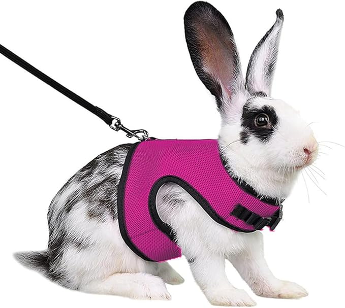 Rabbit Harness and Leash Set, Bunny Leash Vest Mesh Eescape Proof Walking Training for Small Animal Pets Rat Hamster Squirrel Ferret Guinea Pig Bunny,Hot Pink L