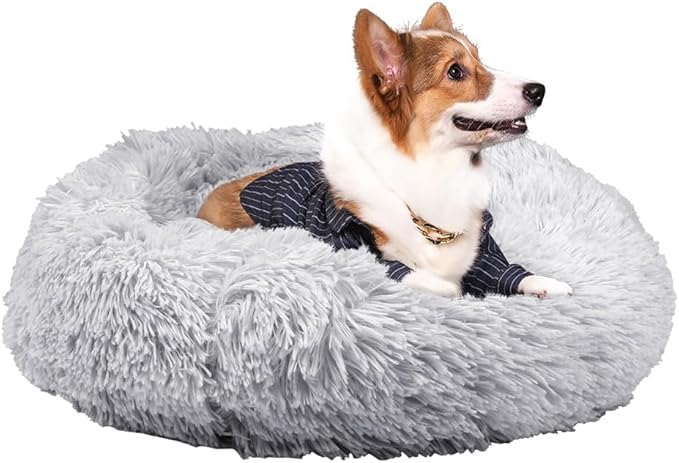 Geizire Cat Beds for Indoor Cats 24'' Washable