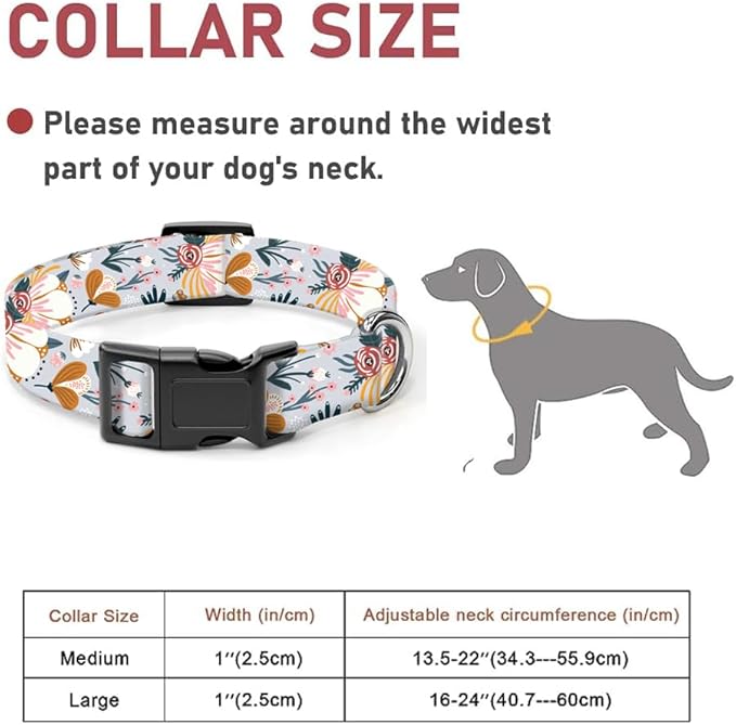 Dog Collar