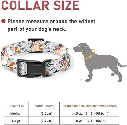 Dog Collar