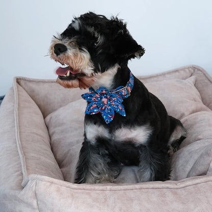 Patriotic Dog Collar with Flower 4th of 13.5-22in