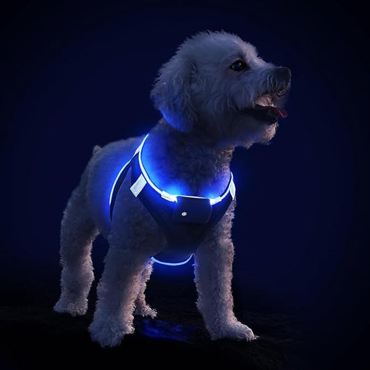 PcEoTllar Light Up Dog Harness, LED Dog Harness for Puppy Small Medium Dogs, Rechargeable No Pull Reflective Dog Harness, Flashing Lighted Dog Harness for Night Walking (Blue,s)