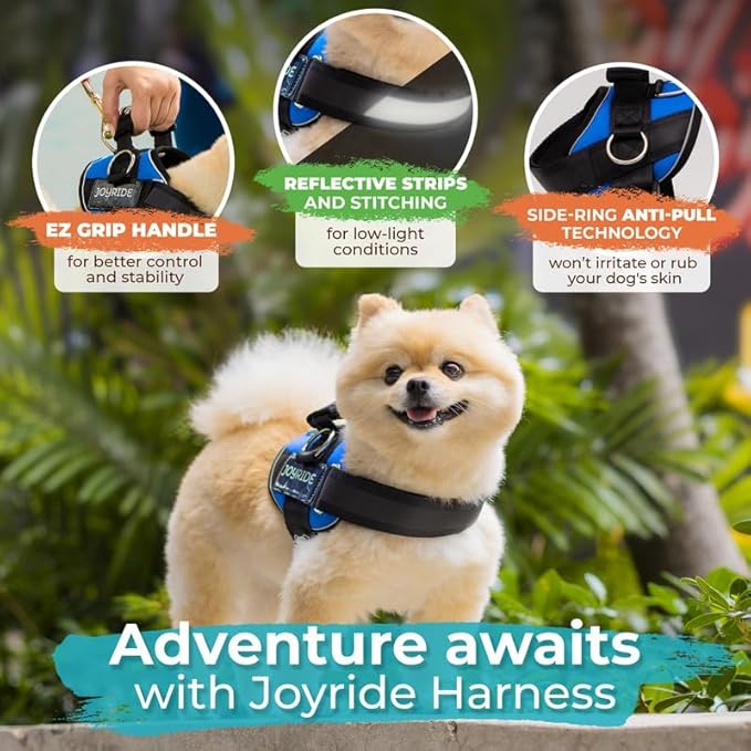 Joyride Harness 2.0 - The Original Side Ring No Pull Dog Harness - No Choke, Escape Proof, Reflective, 3 Leash Clips, Quick Fit Pet Vest - Easy Walks & Training - for Small, Medium & Large Dogs