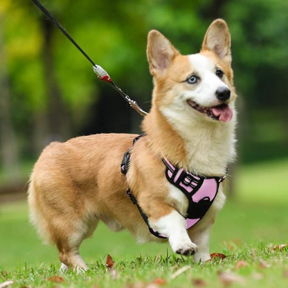 rabbitgoo Dog Harness, No-Pull Pet Harness with 2 Leash Clips, Adjustable Soft Padded Dog Vest, Reflective No-Choke Pet Oxford Vest with Easy Control Handle for Medium Dogs, Pink, M