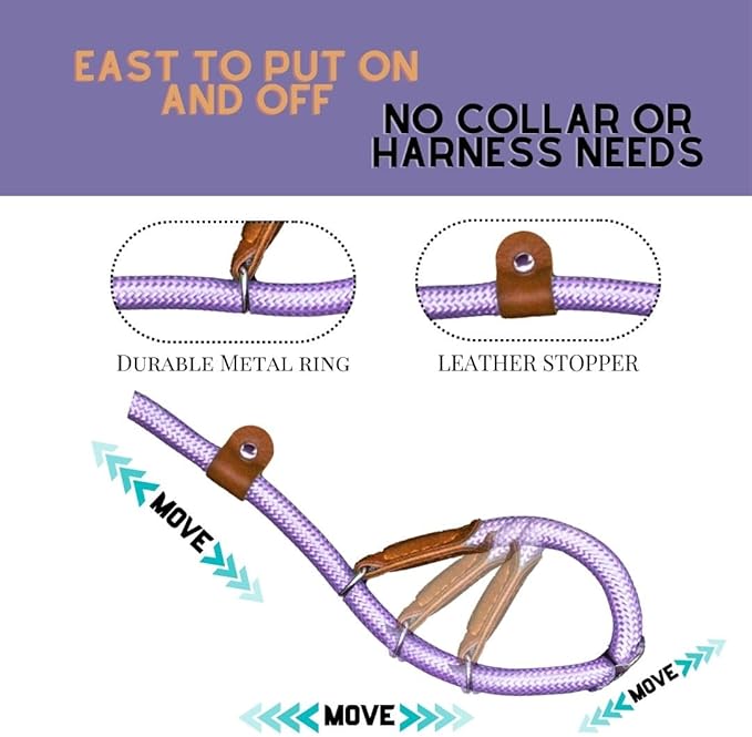 Slip Leads for Dogs (5 Foot 5/16")