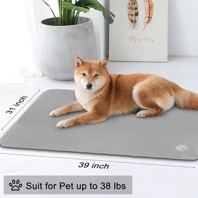 Puppy Dog Blanket 6 Pack 39 x 31 inches)