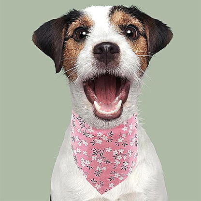 PET SHOW 10pcs Girls Small Dog Bandanas Female