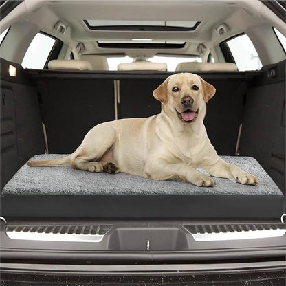 Friends Forever Orthopedic Dog Bed 44x32x3.5