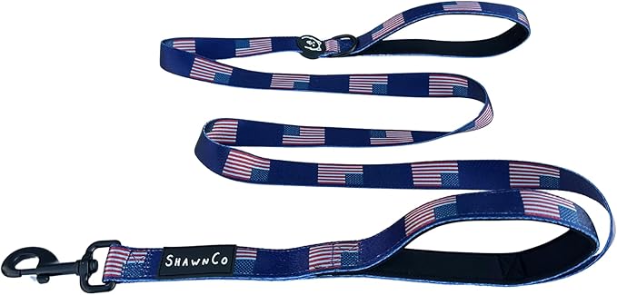 ShawnCo Dream Walk Dog Leash- Premium, Nylon Pet Leash with Soft Neoprene Handle for Small, Medium and Large Dogs (USA Flag, M/L 6FT w/ 2 Handles)