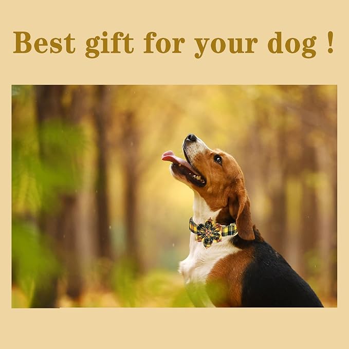 Unique style paws Dog Collar with Flower Tie