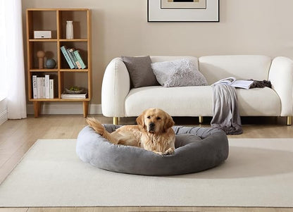 Arlee Orbit Orthopedic Memory Foam Dog Bed
