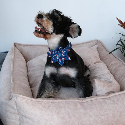 Patriotic Dog Collar with Flower 4th of 16-24in