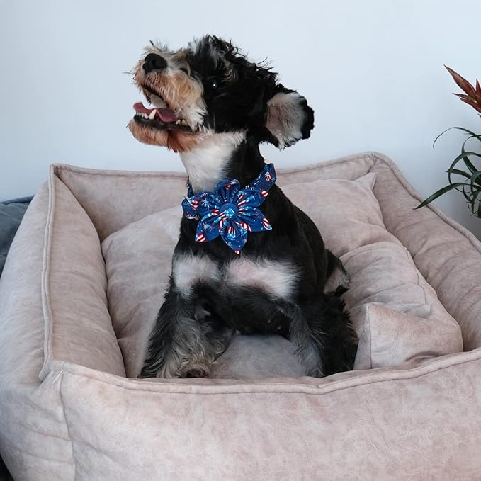 4th of July Dog Collar with Bow Tie 16-26in