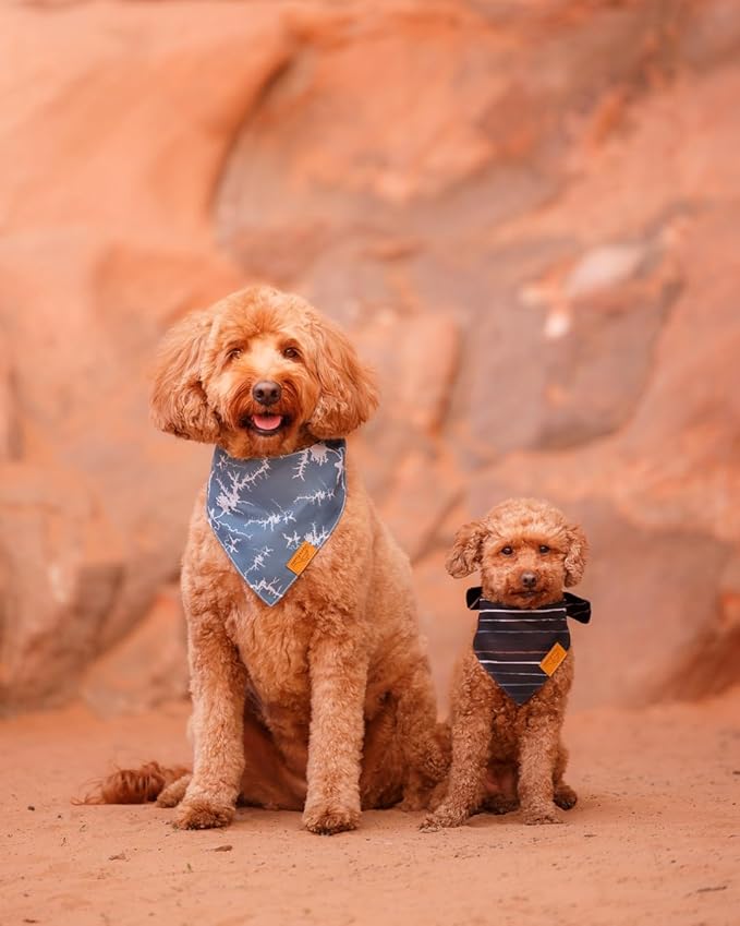 Remy+Roo Small Summer Dog Bandanas 4 Pack