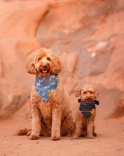 Remy+Roo Small Summer Dog Bandanas 4 Pack