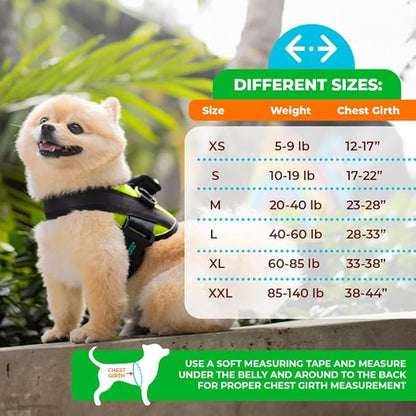 Joyride Harness 2.0 3 Leash