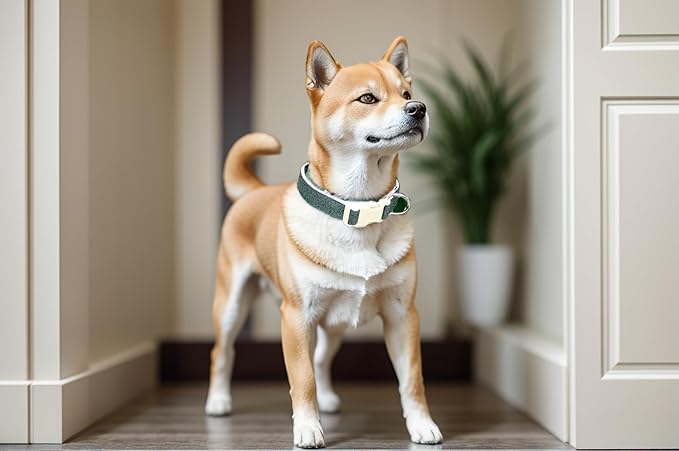 Breathable Cotton Dog Collar