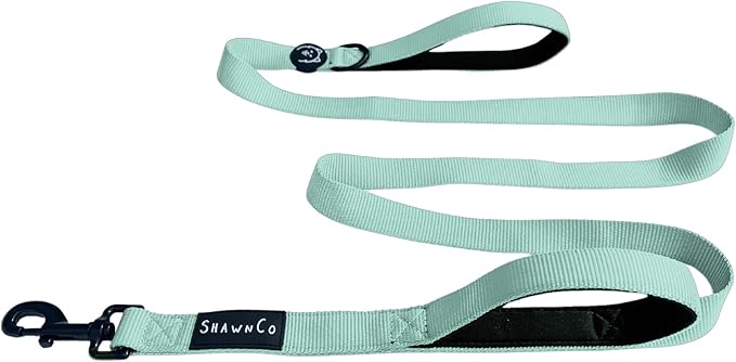 ShawnCo Dream Walk Dog Leash- Premium, Nylon Pet Leash with Soft Neoprene Handle for Small, Medium and Large Dogs (Seafoam, M/L 6FT w/ 2 Handles)