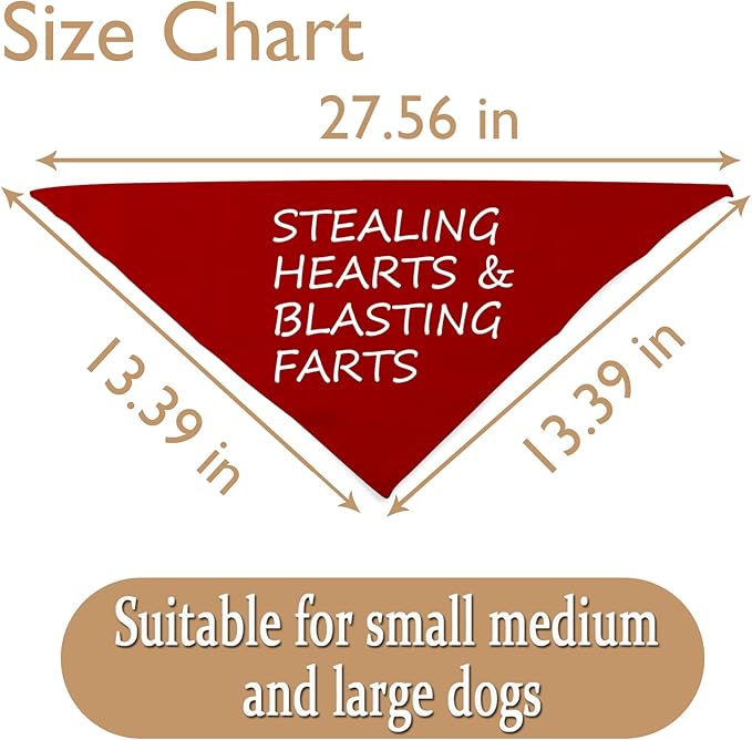 JXGZSO 1 Piece Free Kisses/Will You Be My