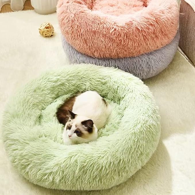 Geizire Cat Bed Dog Bed for Cats