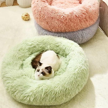 Geizire Cat Bed Dog Bed for Cats