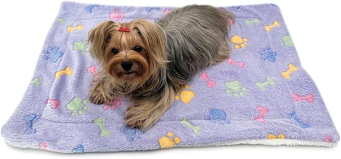 Klippo Double Layered Ultra Plush Dog/Puppy Blanket/Mat/Padding/Cover/Throw/Spread (Bones/Paws, Small)