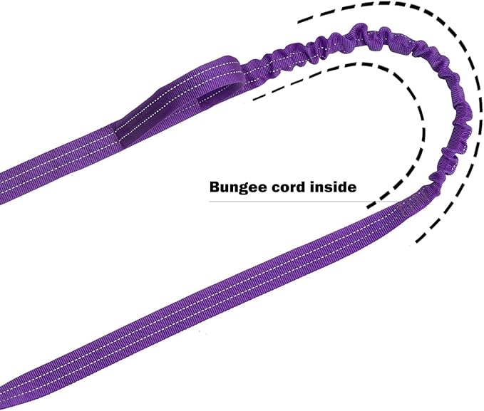 ICEFANG Tactical Dog Leash K9 Training 2 Control 6 FT)